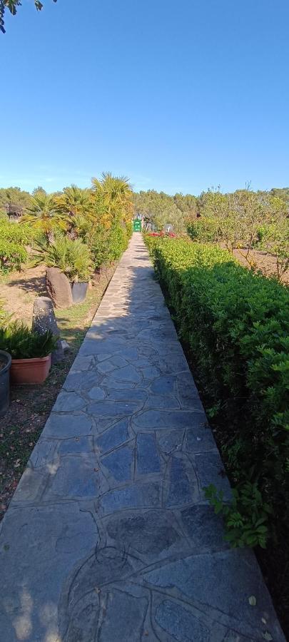 Orosei Re - Villa Aurora Rimedia A 50 Metri Dal Mare Εξωτερικό φωτογραφία